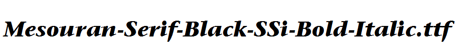 Mesouran-Serif-Black-SSi-Bold-Italic.ttf