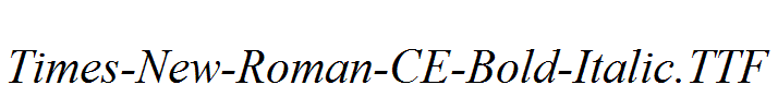 Times-New-Roman-CE-Bold-Italic.ttf