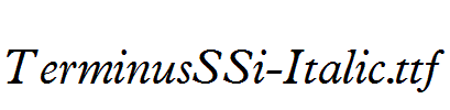 TerminusSSi-Italic.ttf