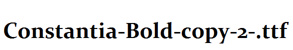 Constantia-Bold-copy-2-.ttf