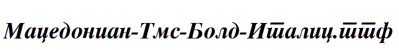 Macedonian-Tms-Bold-Italic.ttf