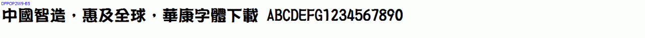 華康字體DFPOP2W9-B5.ttc