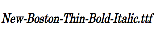 New-Boston-Thin-Bold-Italic.ttf