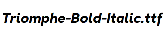 Triomphe-Bold-Italic.ttf