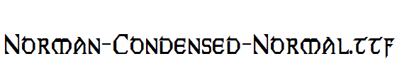 Norman-Condensed-Normal.ttf