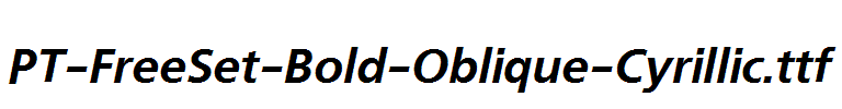 PT-FreeSet-Bold-Oblique-Cyrillic.ttf