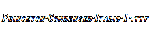 Princeton-Condensed-Italic-1-.ttf