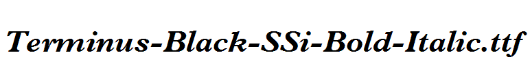 Terminus-Black-SSi-Bold-Italic.ttf