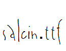 salcin.ttf