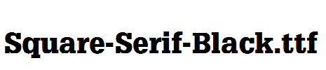 Square-Serif-Black.ttf