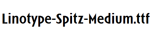 Linotype-Spitz-Medium.ttf