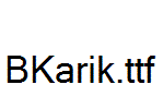 BKarik.ttf