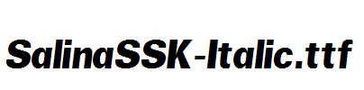 SalinaSSK-Italic.ttf