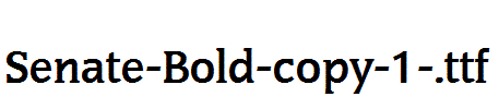 Senate-Bold-copy-1-.ttf