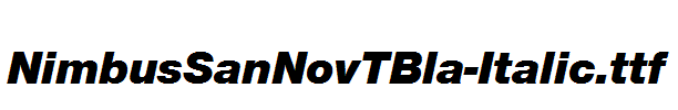 NimbusSanNovTBla-Italic.ttf