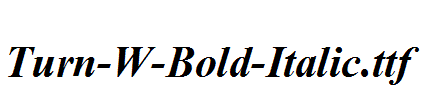 Turn-W-Bold-Italic.ttf