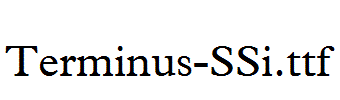 Terminus-SSi.ttf