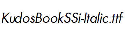 KudosBookSSi-Italic.ttf