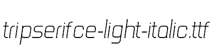 TripSerifCE-Light-Italic.ttf