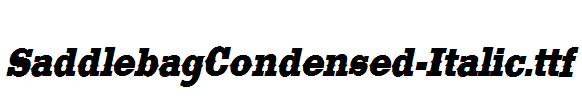 SaddlebagCondensed-Italic.ttf