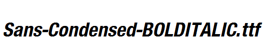 Sans-Condensed-BOLDITALIC.ttf