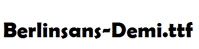 Berlinsans-Demi.ttf