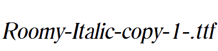 Roomy-Italic-copy-1-.ttf