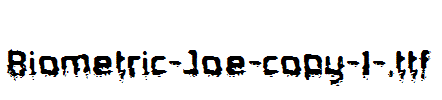 Biometric-Joe-copy-1-.ttf