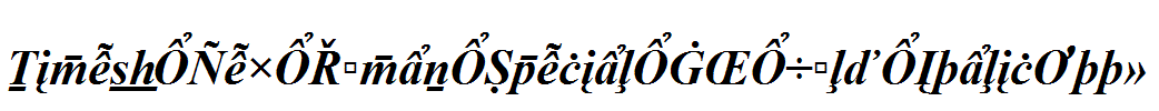 Times-New-Roman-Special-G2-Bold-Italic.ttf