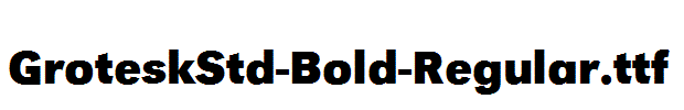 GroteskStd-Bold-Regular.ttf