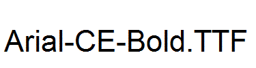 Arial-CE-Bold.ttf