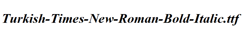 Turkish-Times-New-Roman-Bold-Italic.ttf