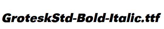 GroteskStd-Bold-Italic.ttf