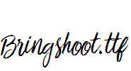 Bringshoot.ttf