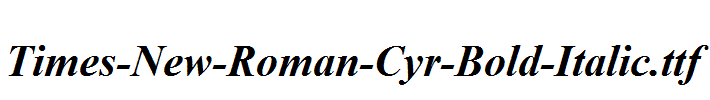 Times-New-Roman-Cyr-Bold-Italic.ttf