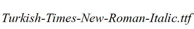 Turkish-Times-New-Roman-Italic.ttf