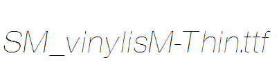 SM_vinylisM-Thin.ttf