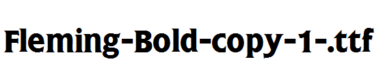 Fleming-Bold-copy-1-.ttf