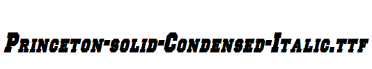 Princeton-solid-Condensed-Italic.ttf