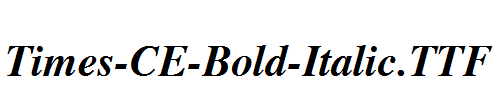 Times-CE-Bold-Italic.ttf