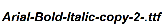 Arial-Bold-Italic-copy-2-.ttf