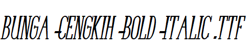 Bunga-Cengkih-Bold-Italic.ttf