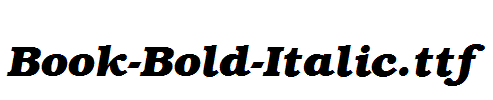 Book-Bold-Italic.ttf