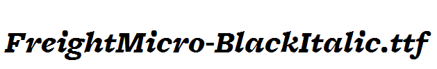 FreightMicro-BlackItalic.ttf