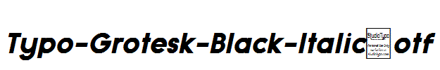 Typo-Grotesk-Black-Italic.otf