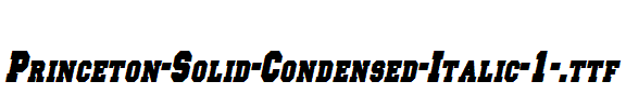 Princeton-Solid-Condensed-Italic-1-.ttf