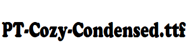 PT-Cozy-Condensed.ttf