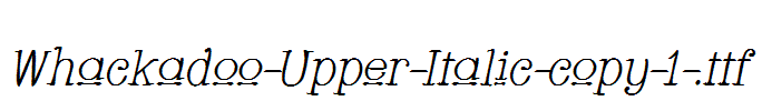 Whackadoo-Upper-Italic-copy-1-.ttf