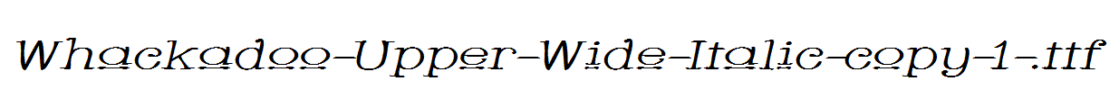 Whackadoo-Upper-Wide-Italic-copy-1-.ttf