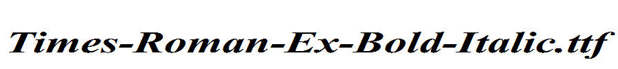 Times-Roman-Ex-Bold-Italic.ttf